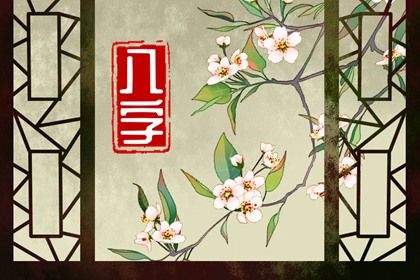 命宫、身宫与胎元
