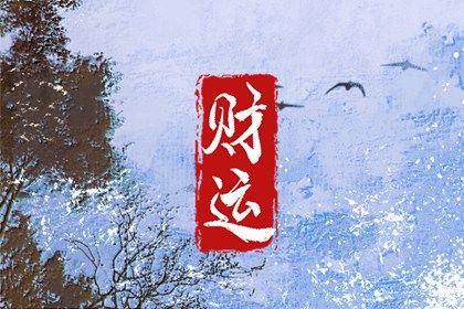 如何阅读一份排盘