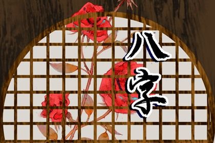 如何阅读一份排盘