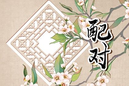 969车牌号打分 测电动车牌号吉凶 车牌号免费测算