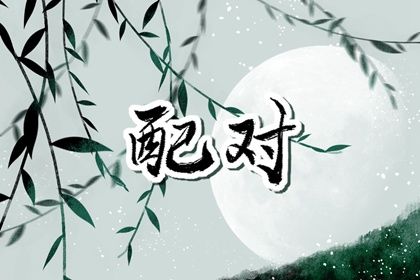 测算车牌号吉凶|测电动车牌号吉凶|车牌号码吉凶测算方法