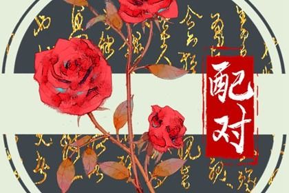 农历干支日历|农历2026年老黄历|农历阴历查询2026年|农历吉时|明天农历