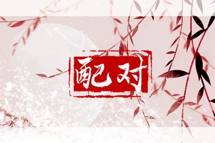 命爱情配对_合婚免费配对_紫微合盘配对_孔水清算姻缘_八字姻缘