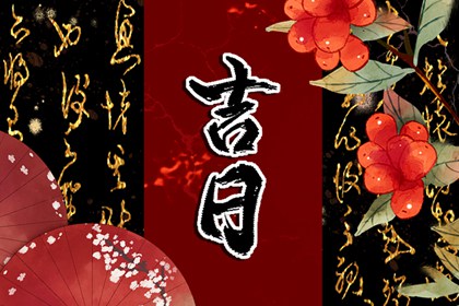 969车牌号打分 测电动车牌号吉凶 车牌号免费测算