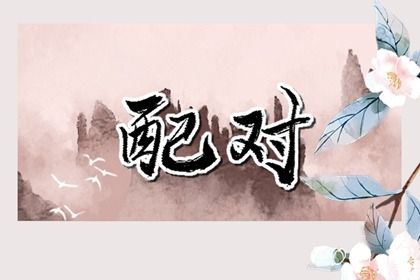 969车牌号打分 测电动车牌号吉凶 车牌号免费测算
