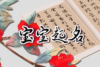 示例命局怎么用