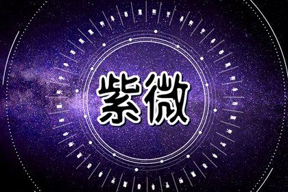 数字化紫微参考用法
